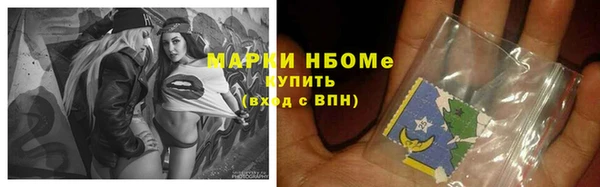 Альфа ПВП Каменка