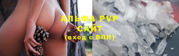 не бодяженный Каменногорск