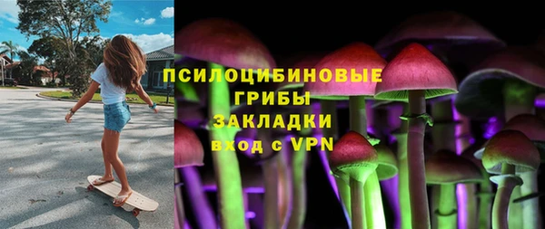 не бодяженный Каменногорск