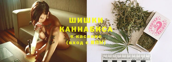 не бодяженный Каменногорск