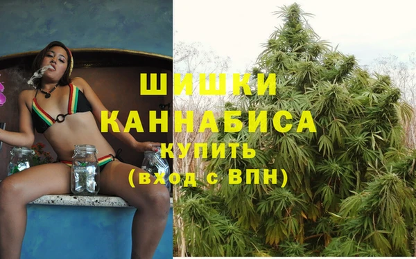 ПСИЛОЦИБИНОВЫЕ ГРИБЫ Каменск-Шахтинский