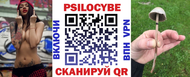 Купить закладки  Верхоянск  Псилоцибиновые грибы Magic Shrooms 
